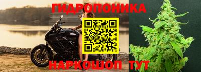 стаф Гусь-Хрустальный