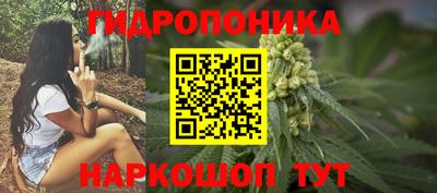 стаф Гусь-Хрустальный