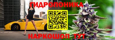 мяу мяу мука Гусев