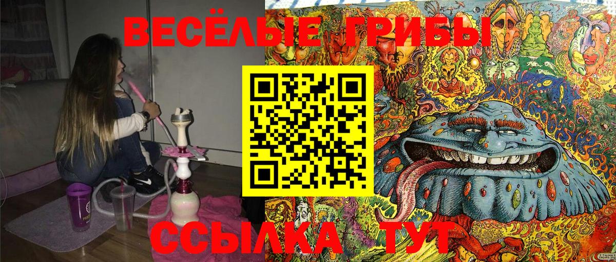 Галлюциногенные грибы прущие грибы Ковров